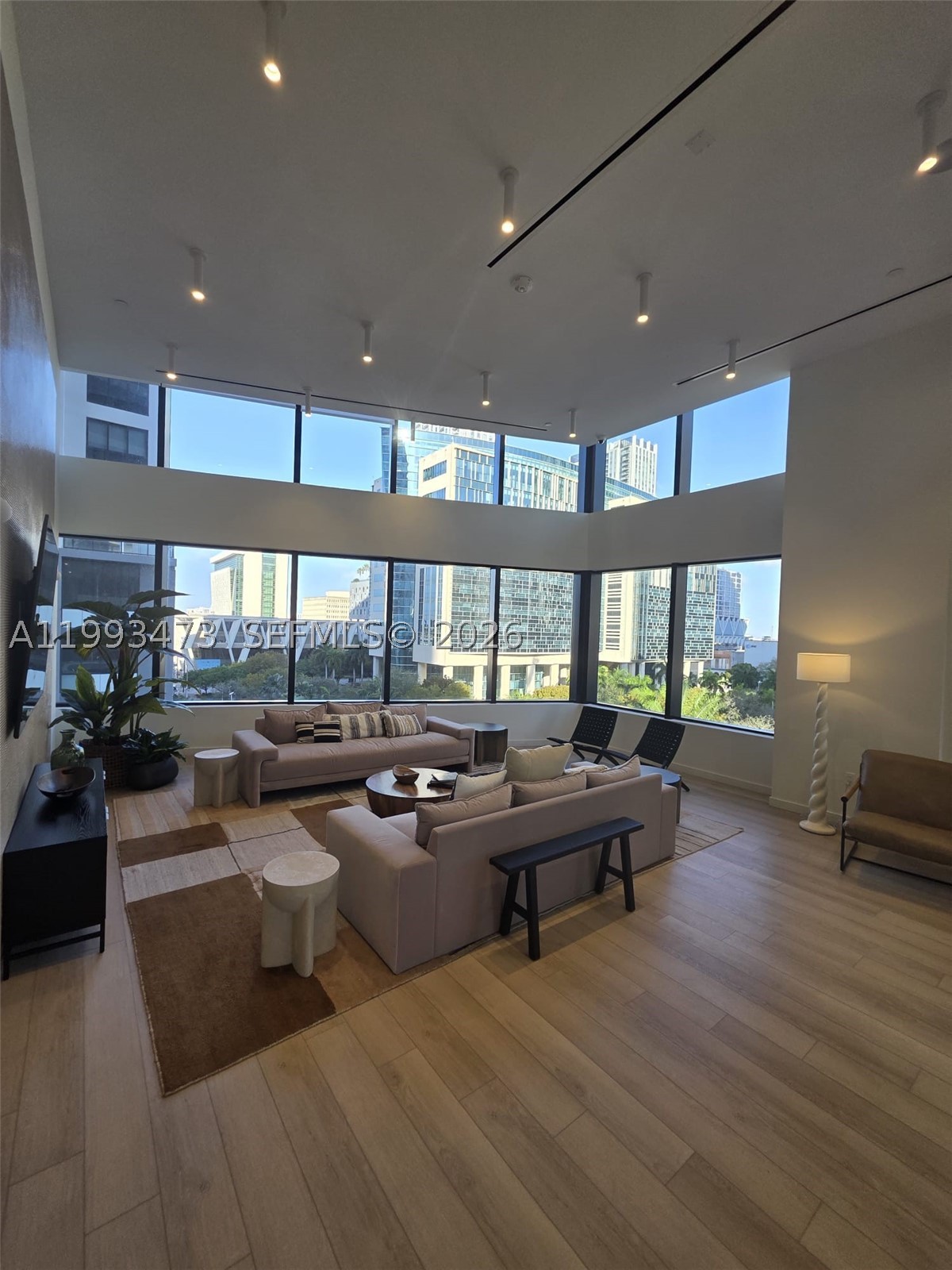 Miami photo 3