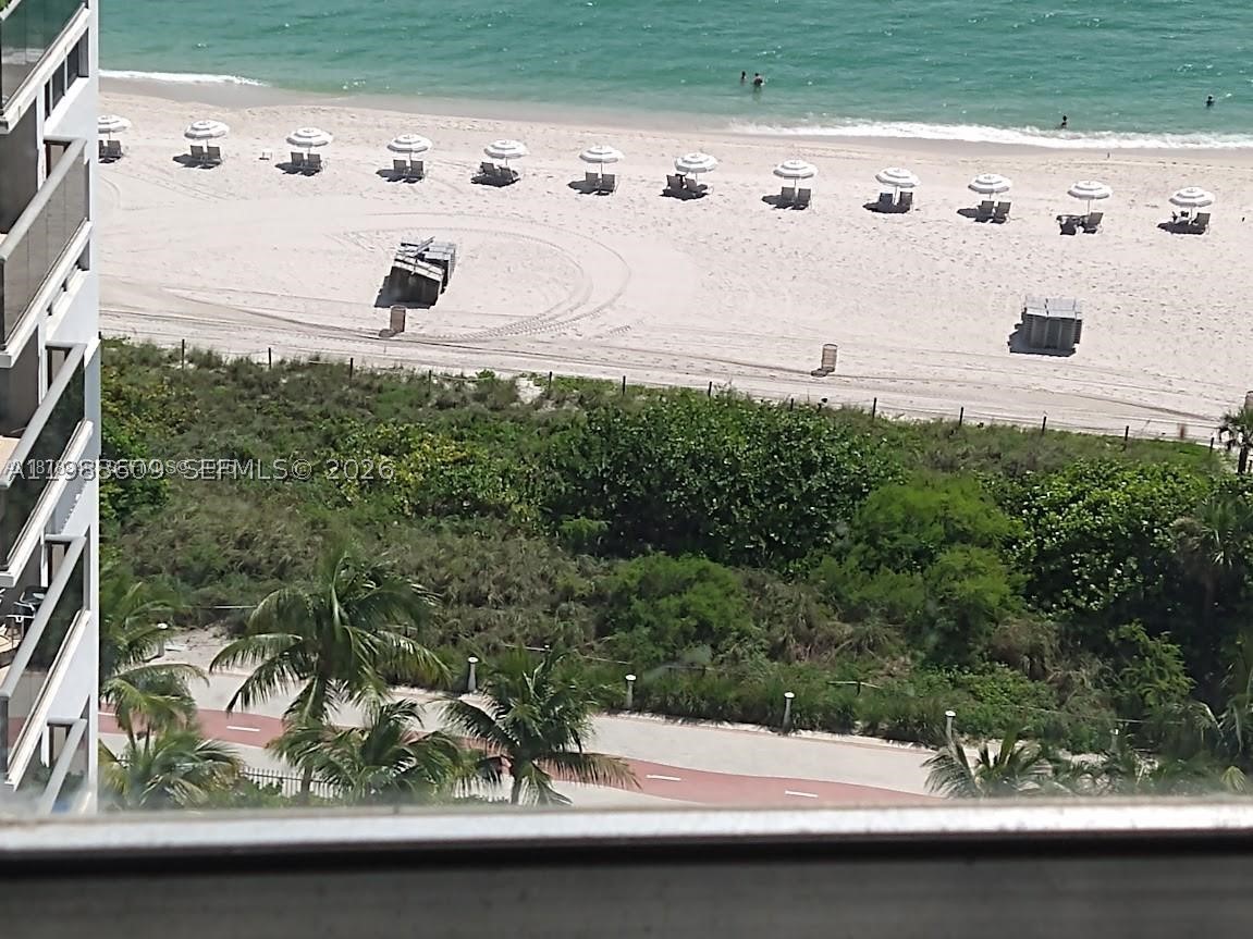 Miami Beach photo 2