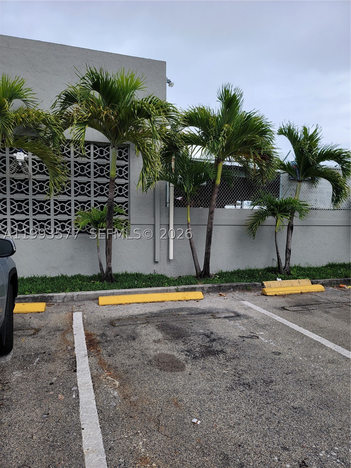 Fort Lauderdale photo 5