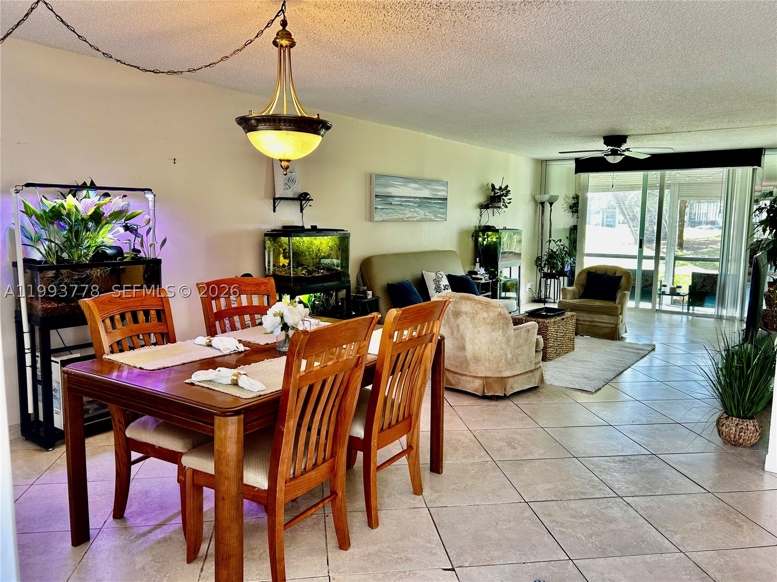 Pembroke Pines photo 3