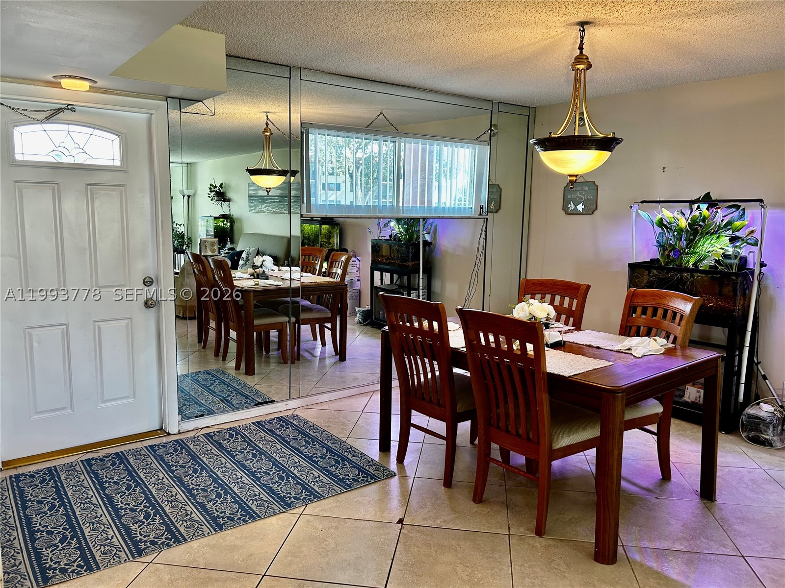 Pembroke Pines photo 4