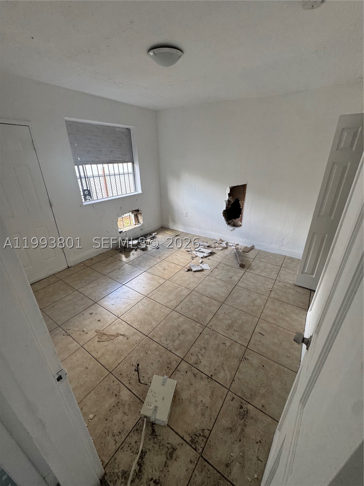 Miami photo 3
