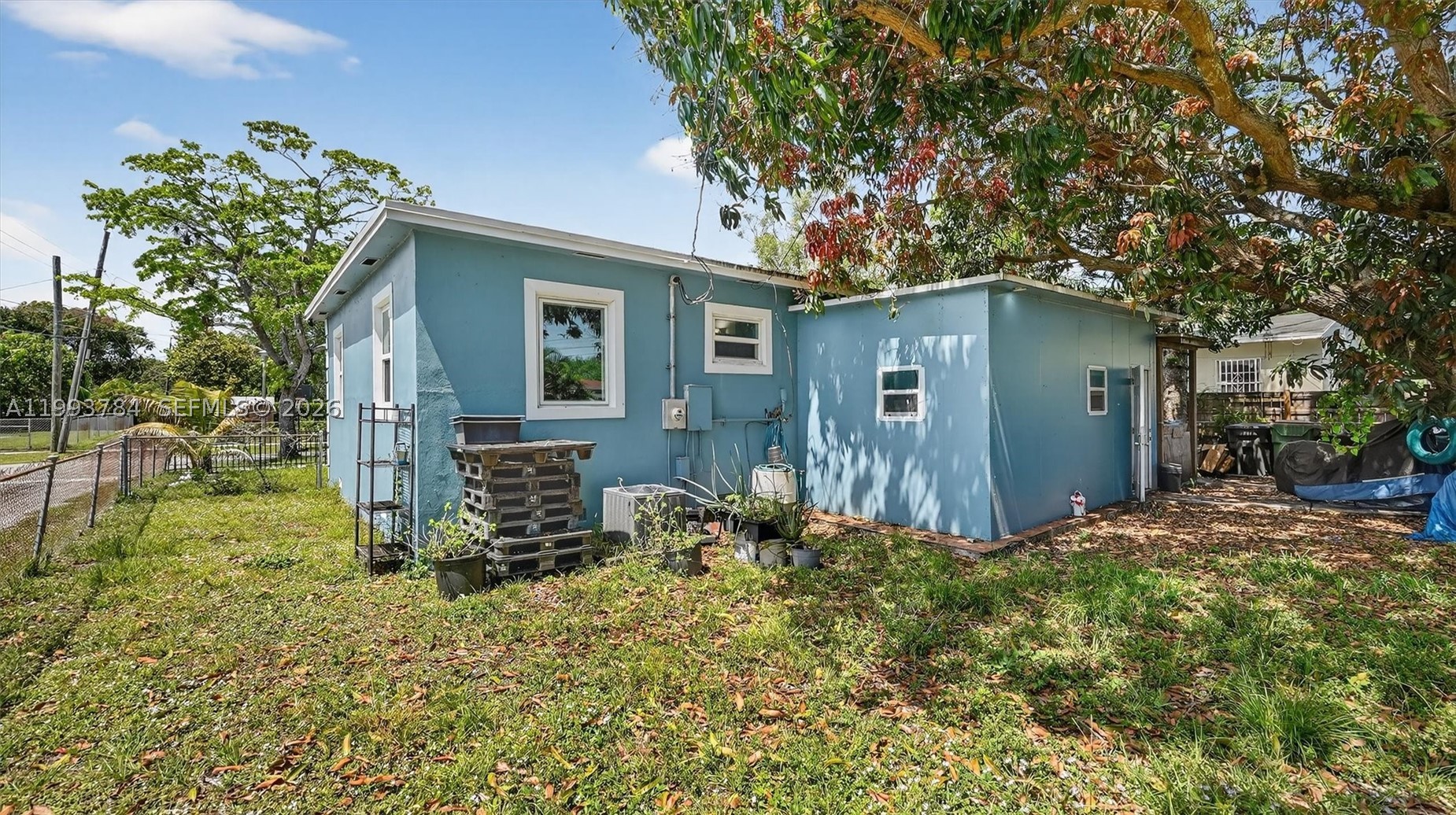 North Miami photo 5