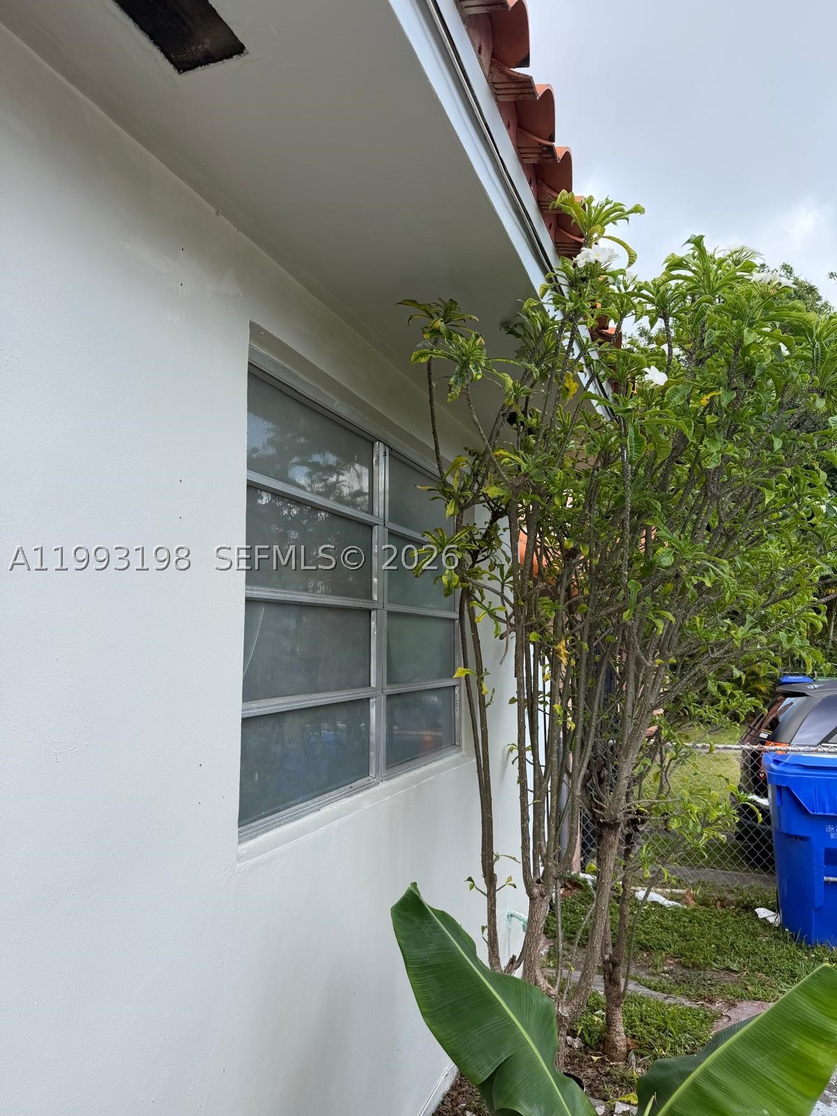 Miami photo 2