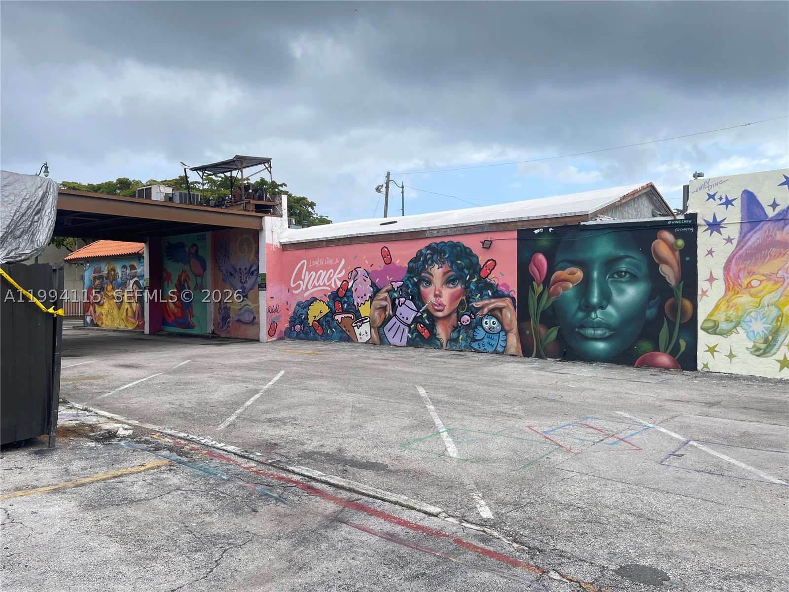 Miami photo 4