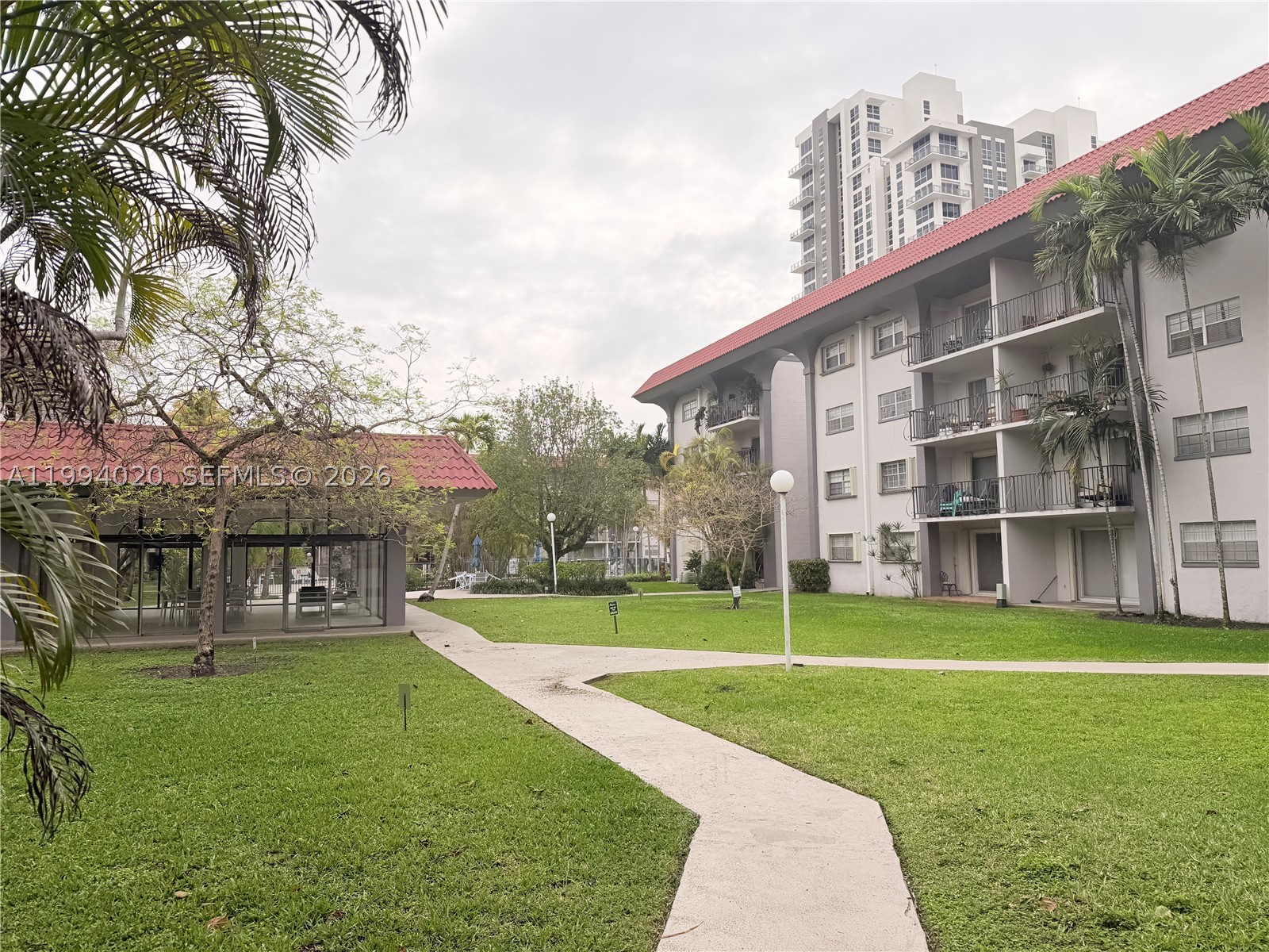 Miami photo 2