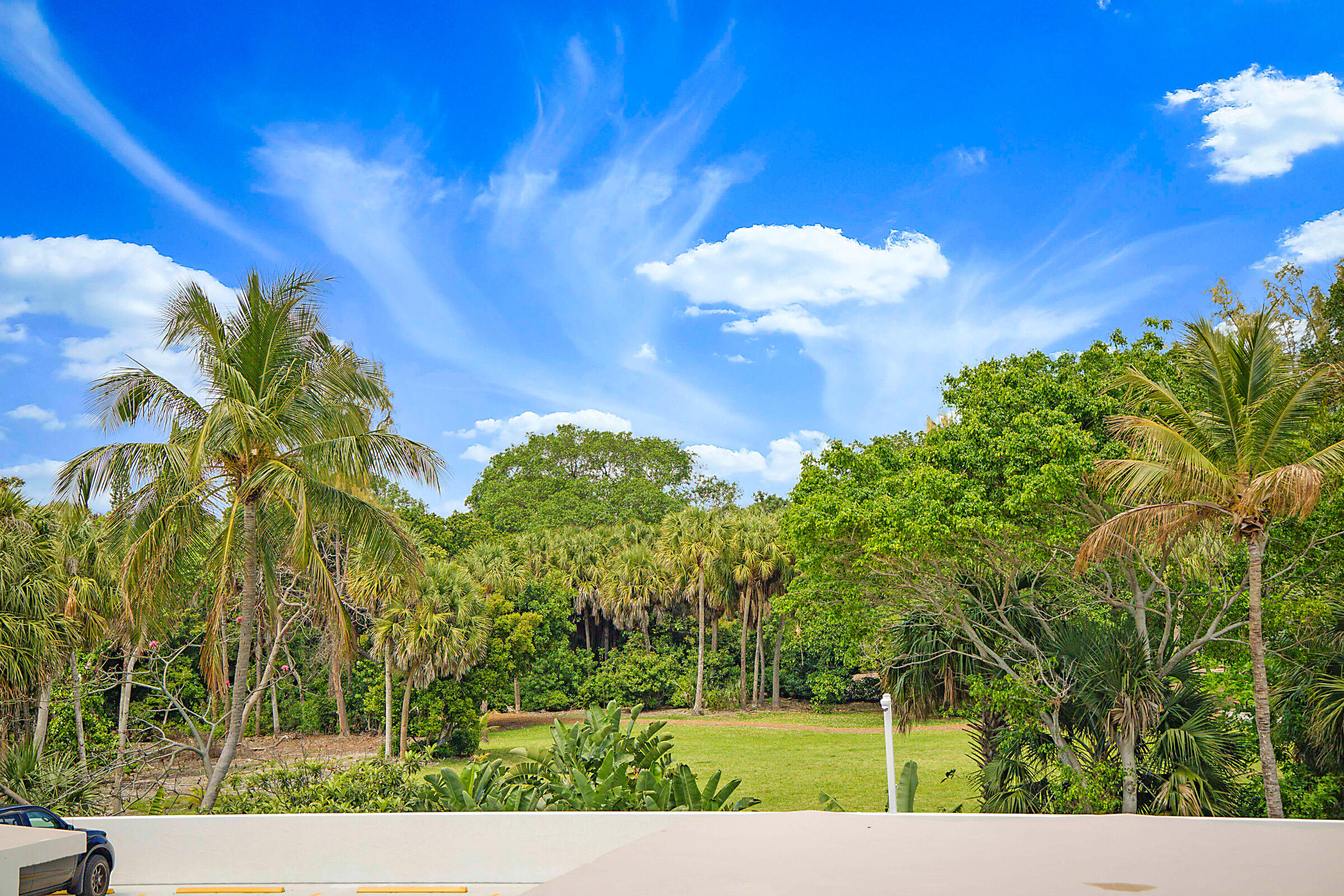 Boca Raton photo 5