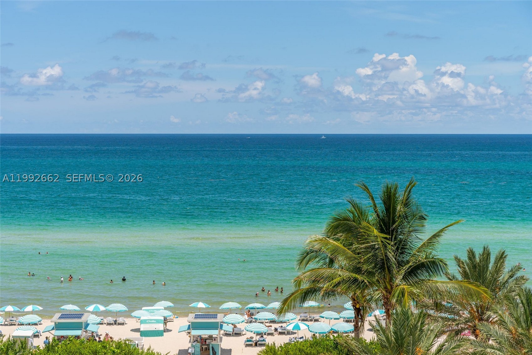 Miami Beach photo 5