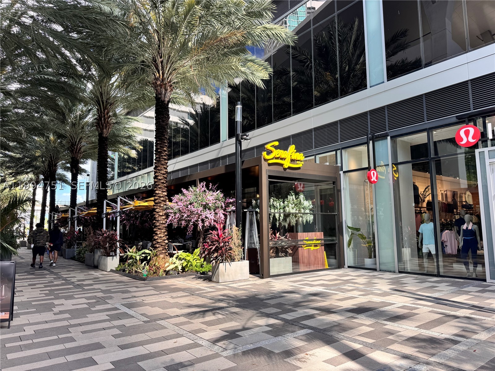 Miami photo 3