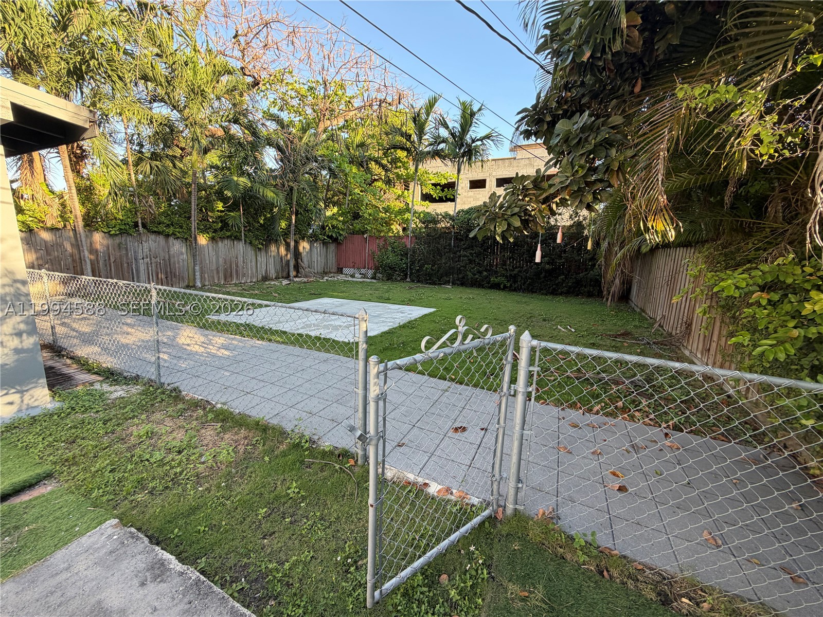 Miami photo 5