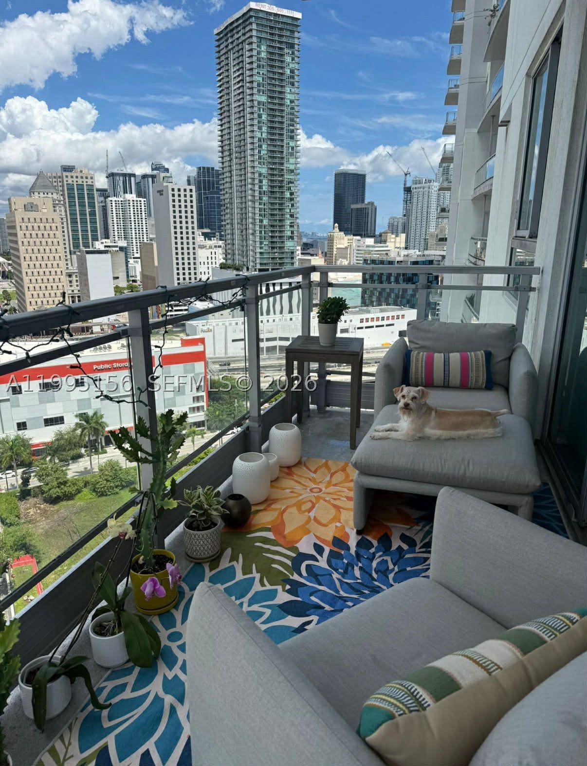 Miami photo 1