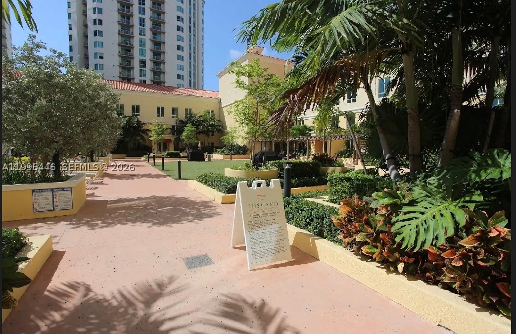 Miami photo 2