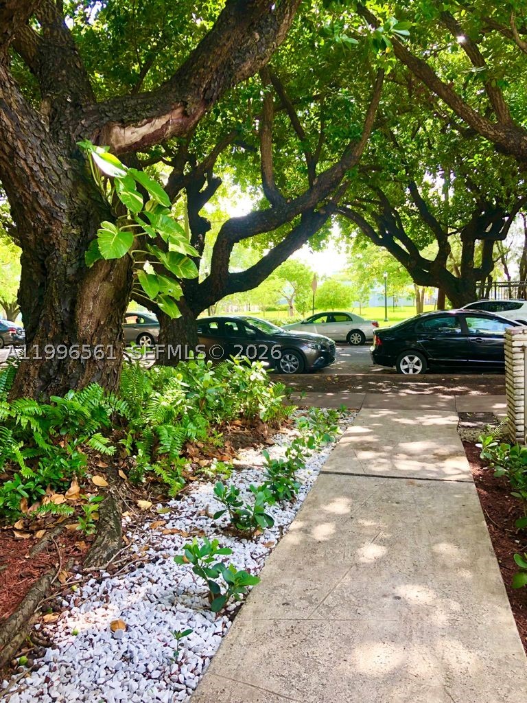 Miami Beach photo 2