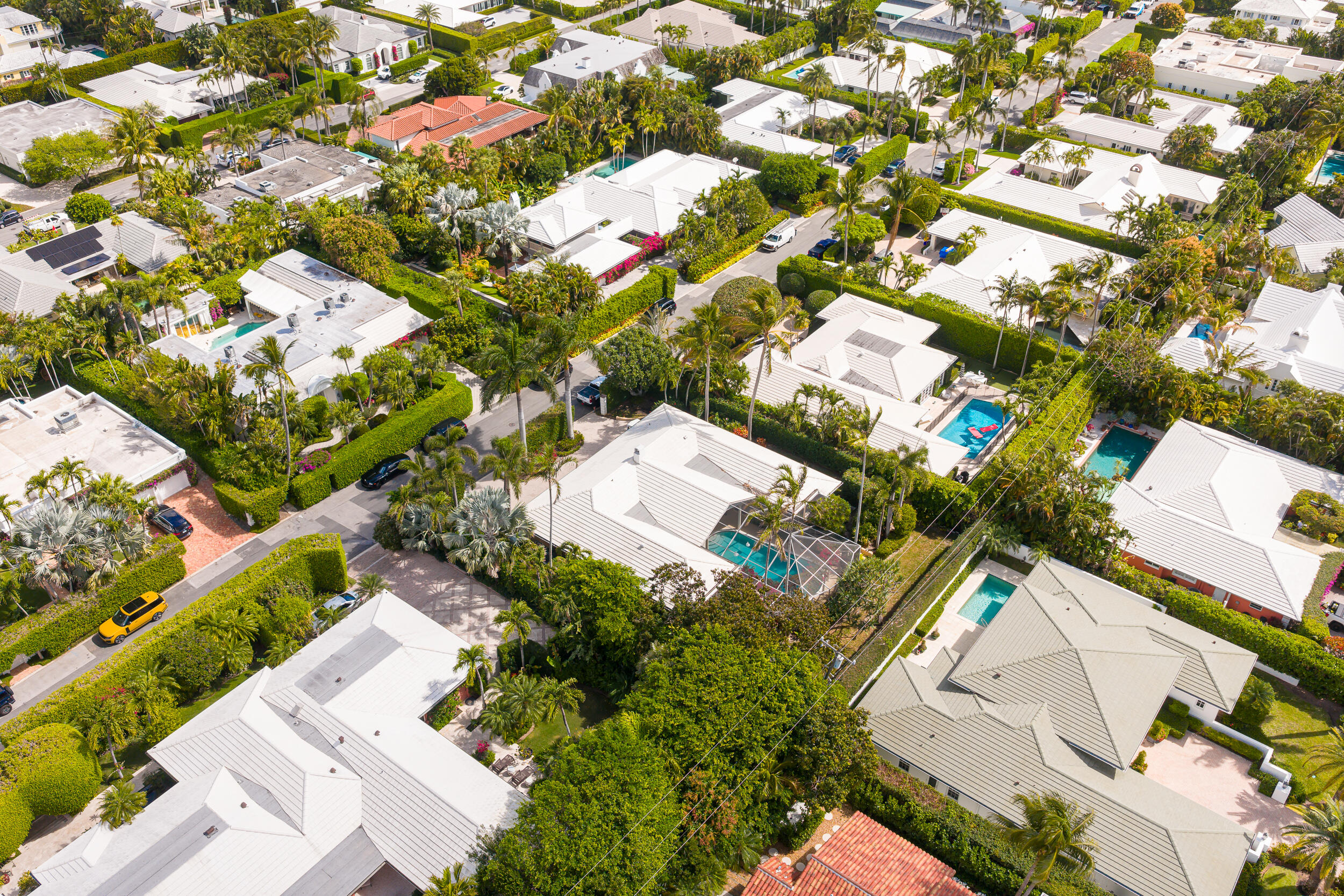 Palm Beach photo 4