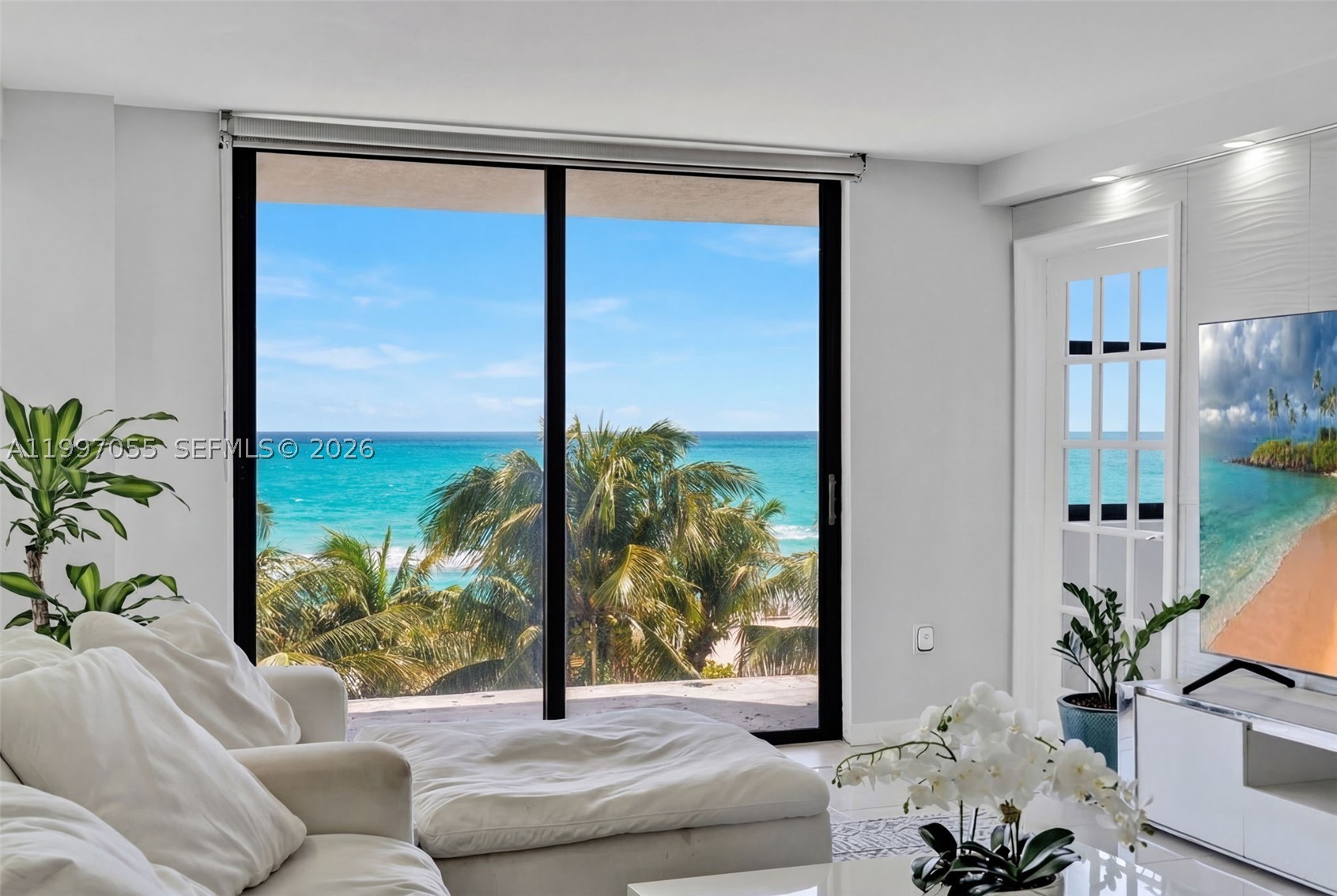 Miami Beach photo 4