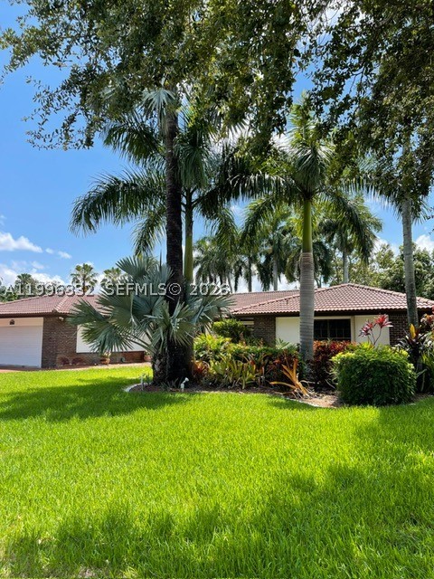 Hialeah photo 5