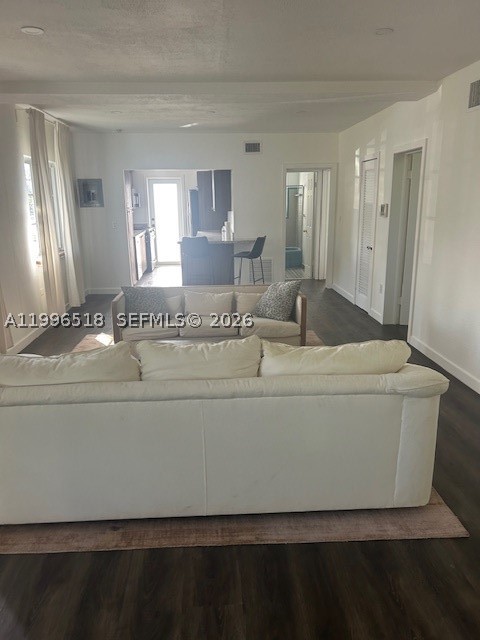 Miami Beach photo 5