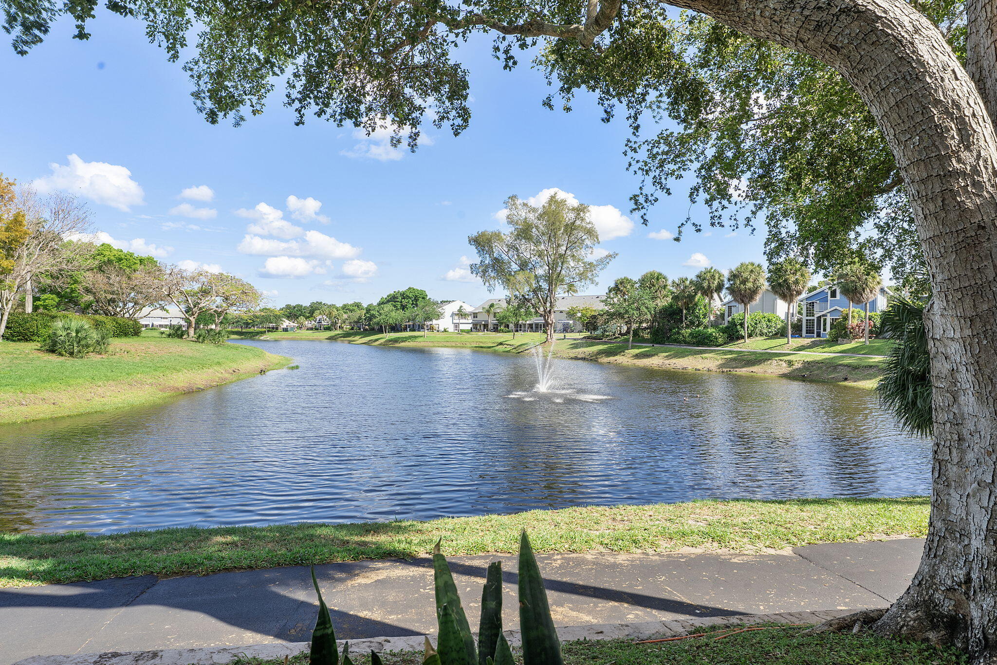 Boca Raton photo 2