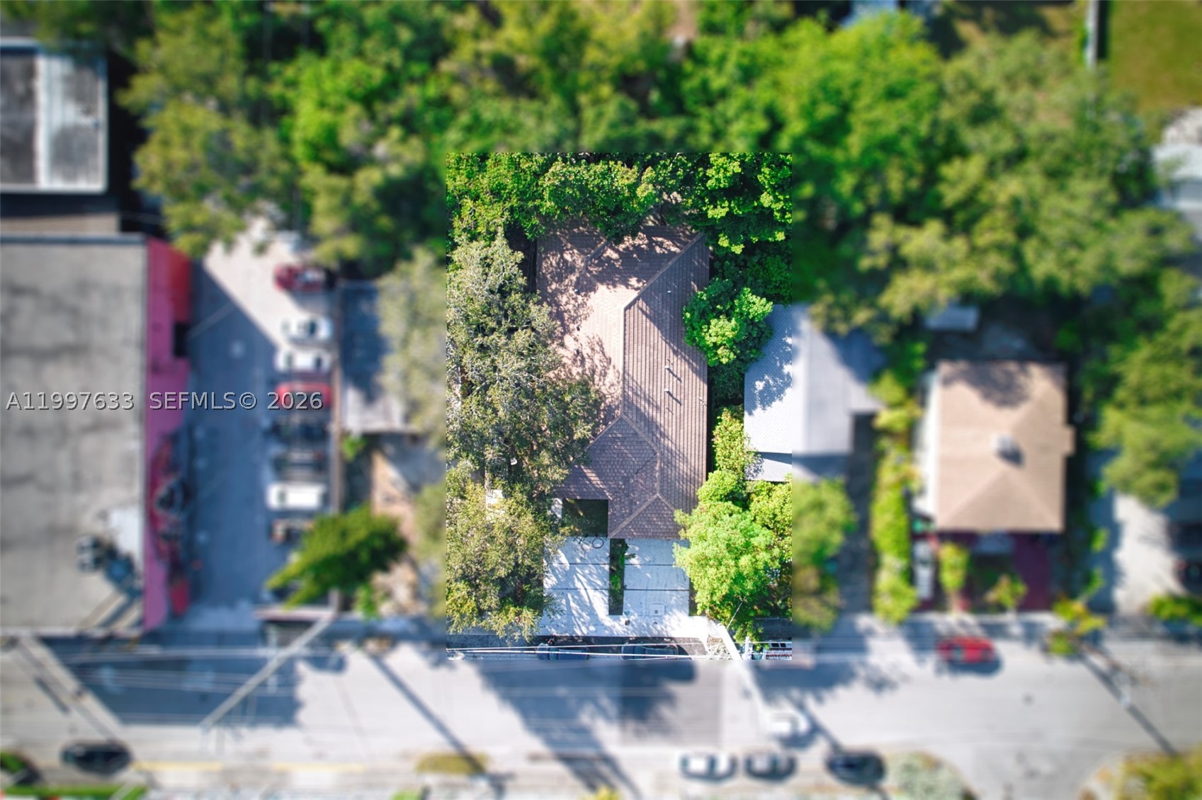 Miami photo 2