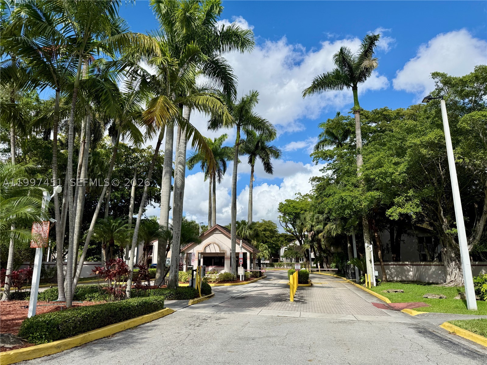 Miami photo 1