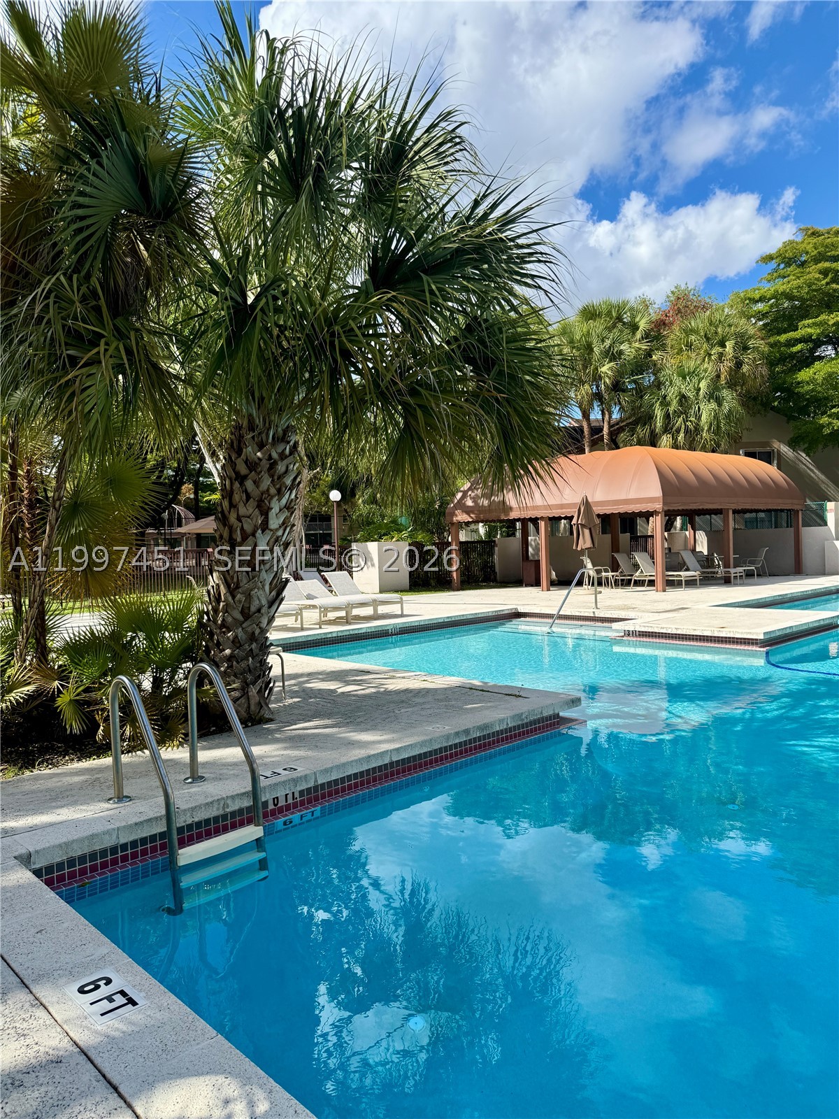 Miami photo 3