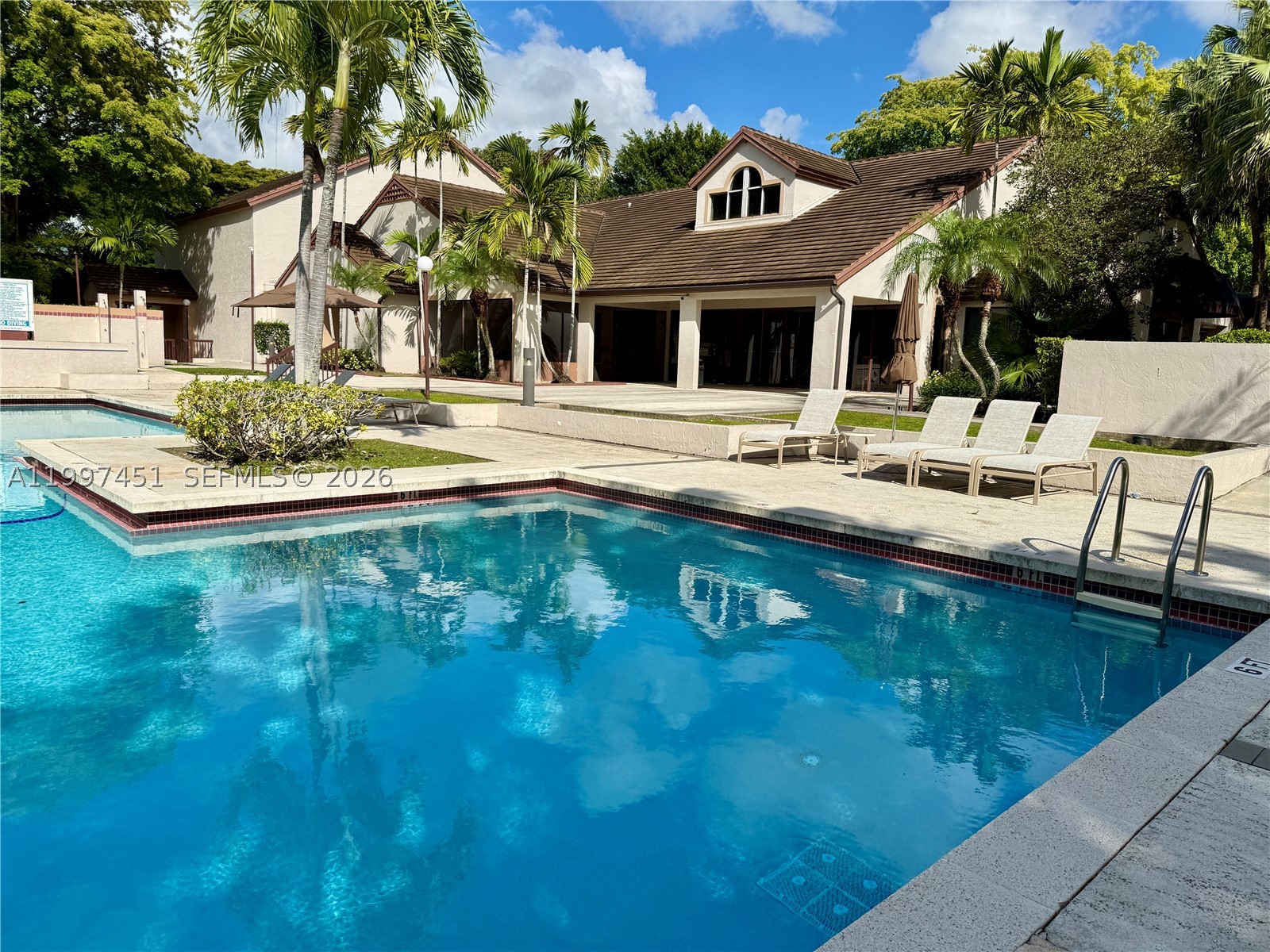 Miami photo 4
