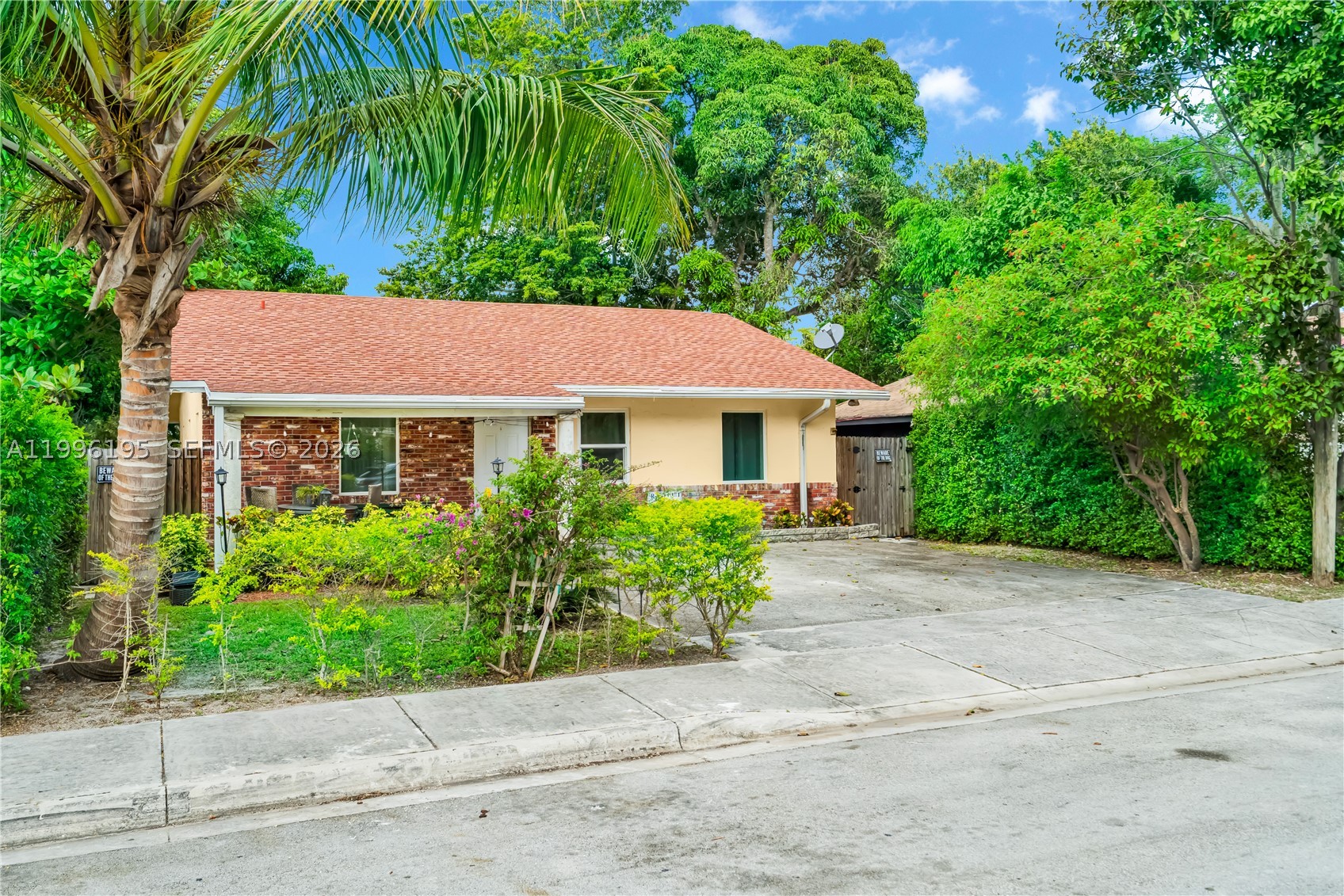 South Miami photo 4