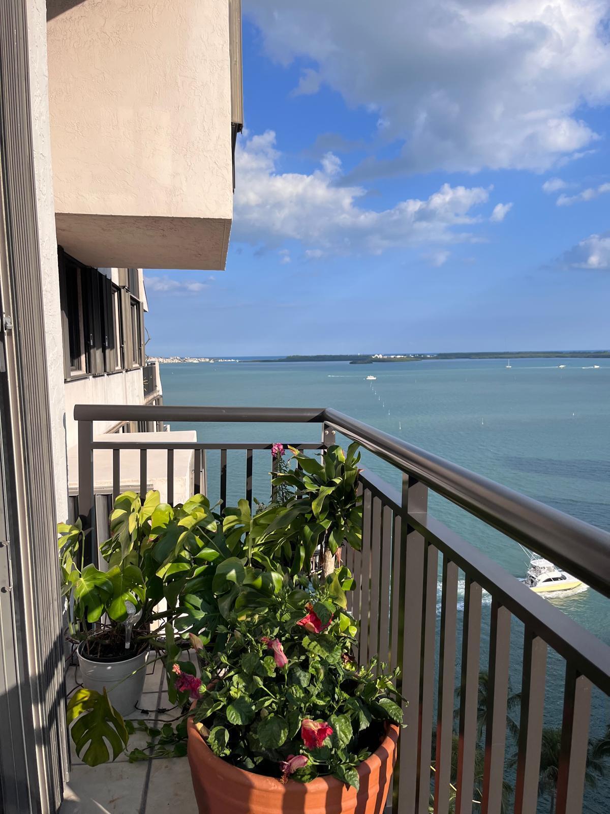 Miami photo 2