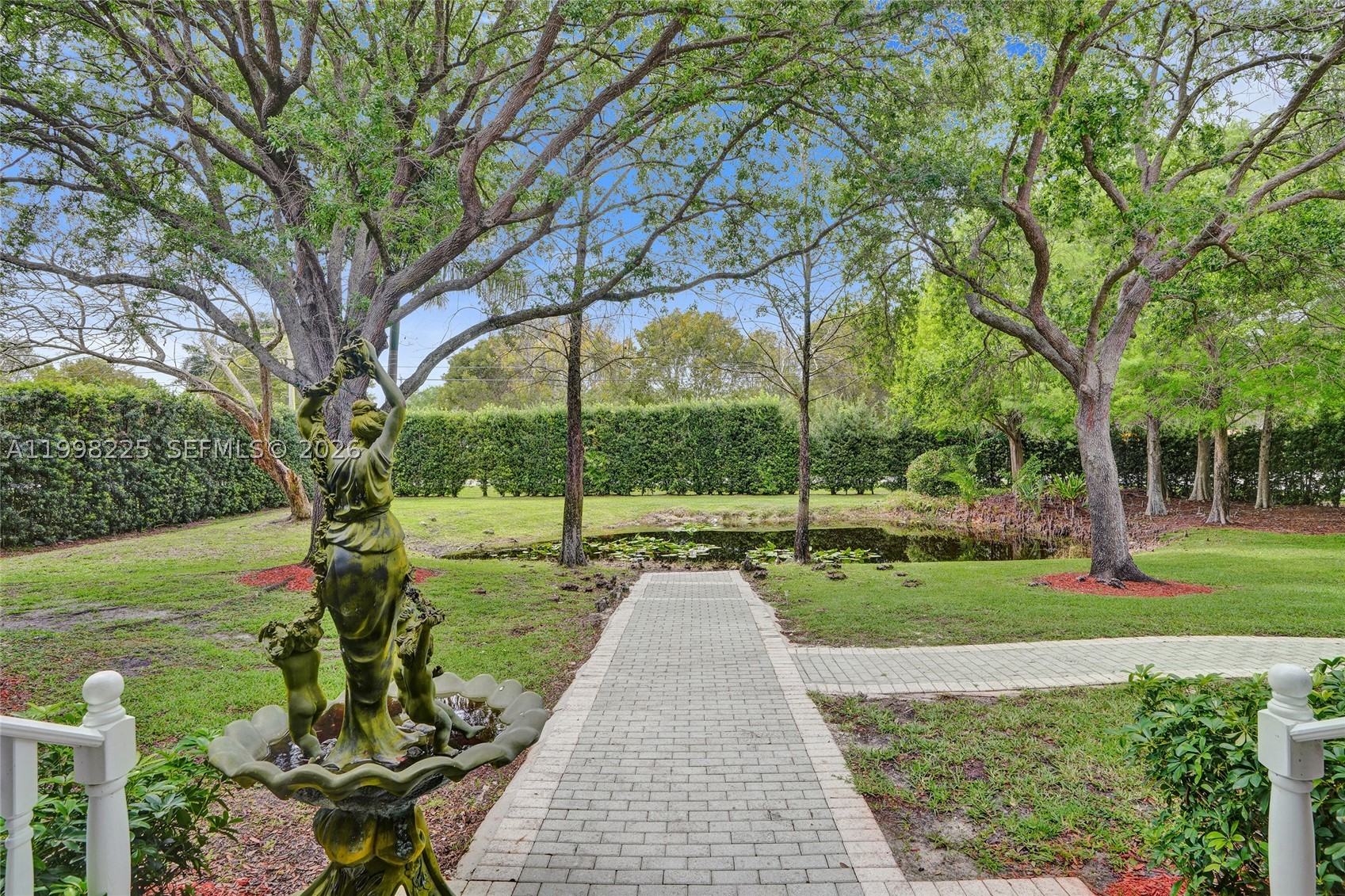 Plantation photo 4
