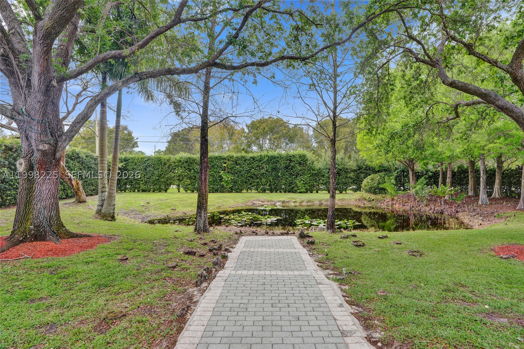Plantation photo 5