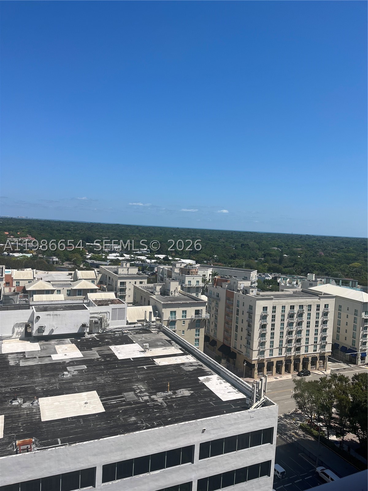 Miami photo 3