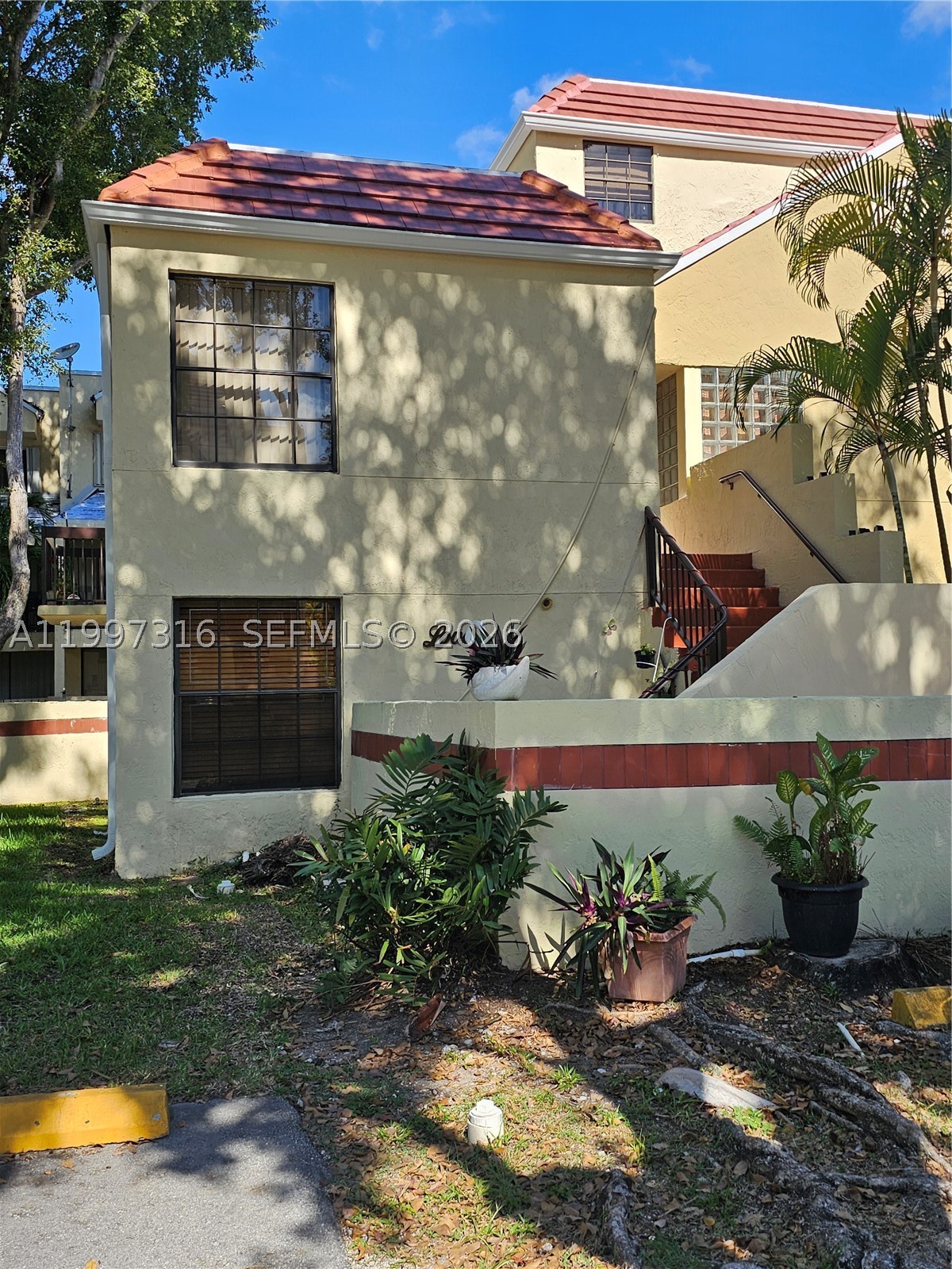 Miami photo 3