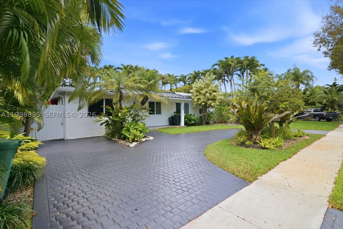 Miami photo 3