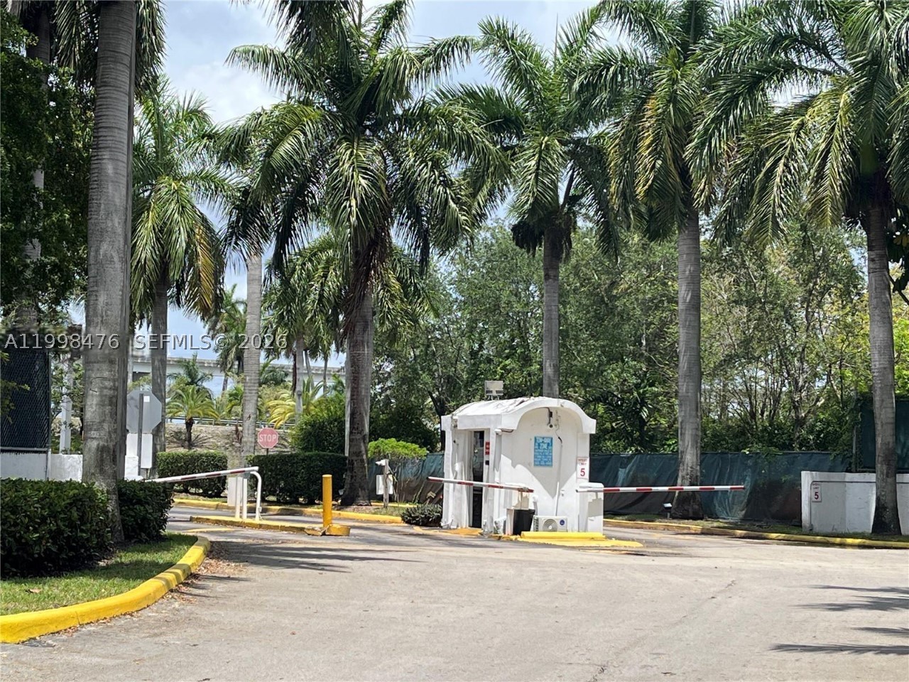 Miami photo 3