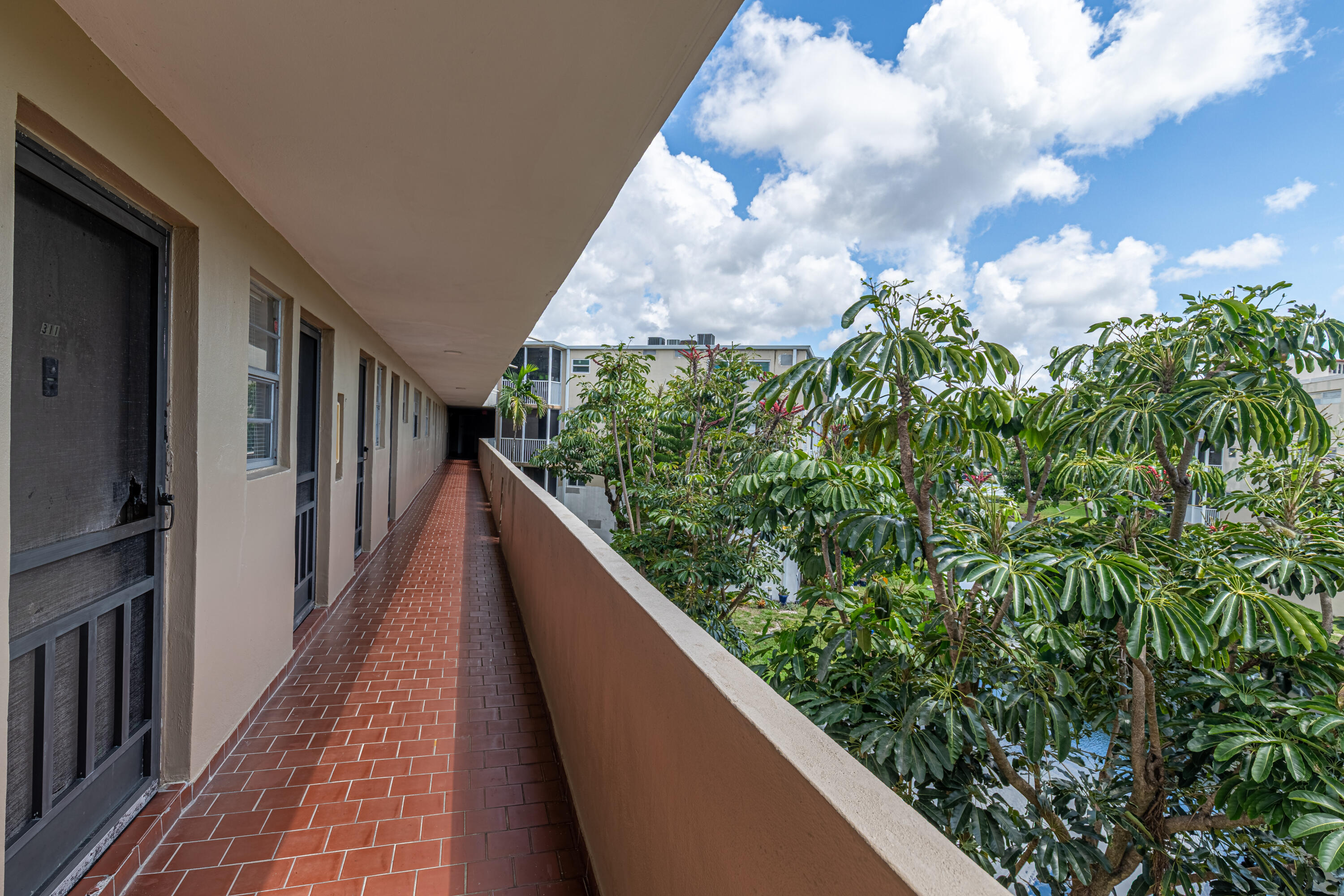 Miami photo 4