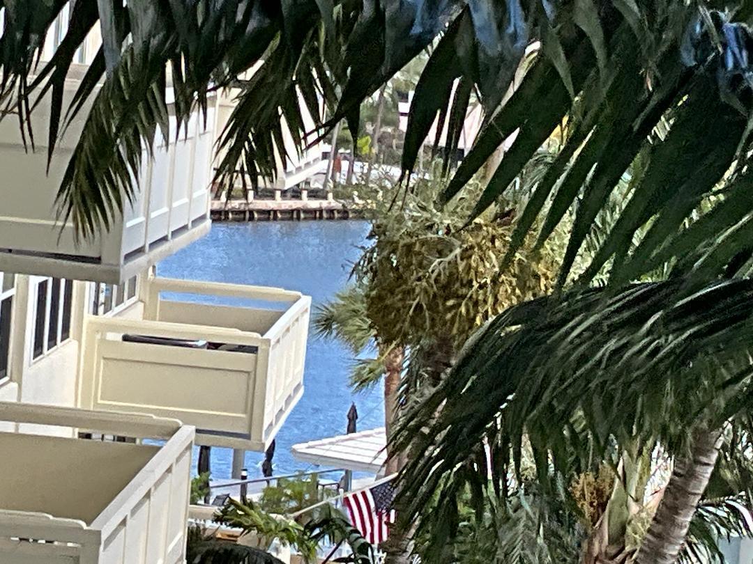 Fort Lauderdale photo 1
