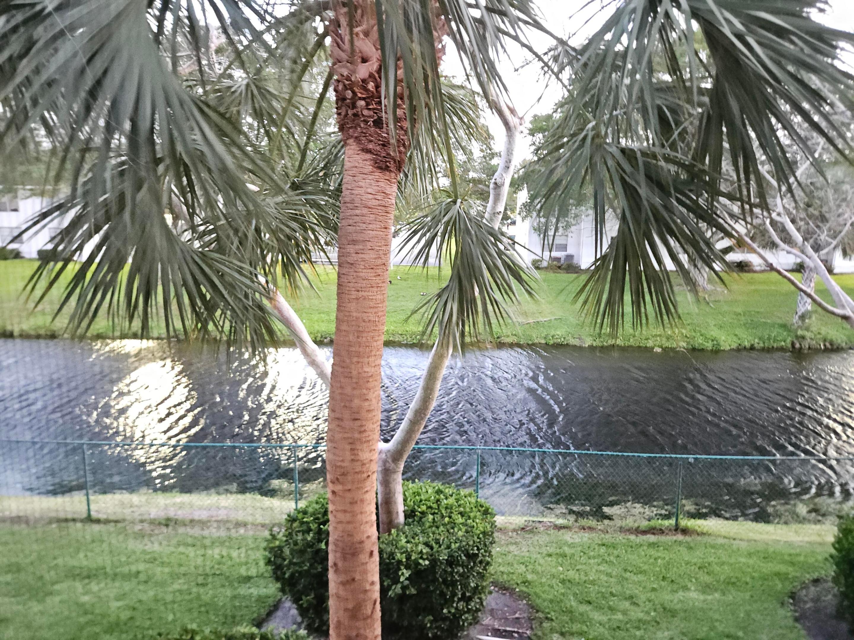 Pembroke Pines photo 5