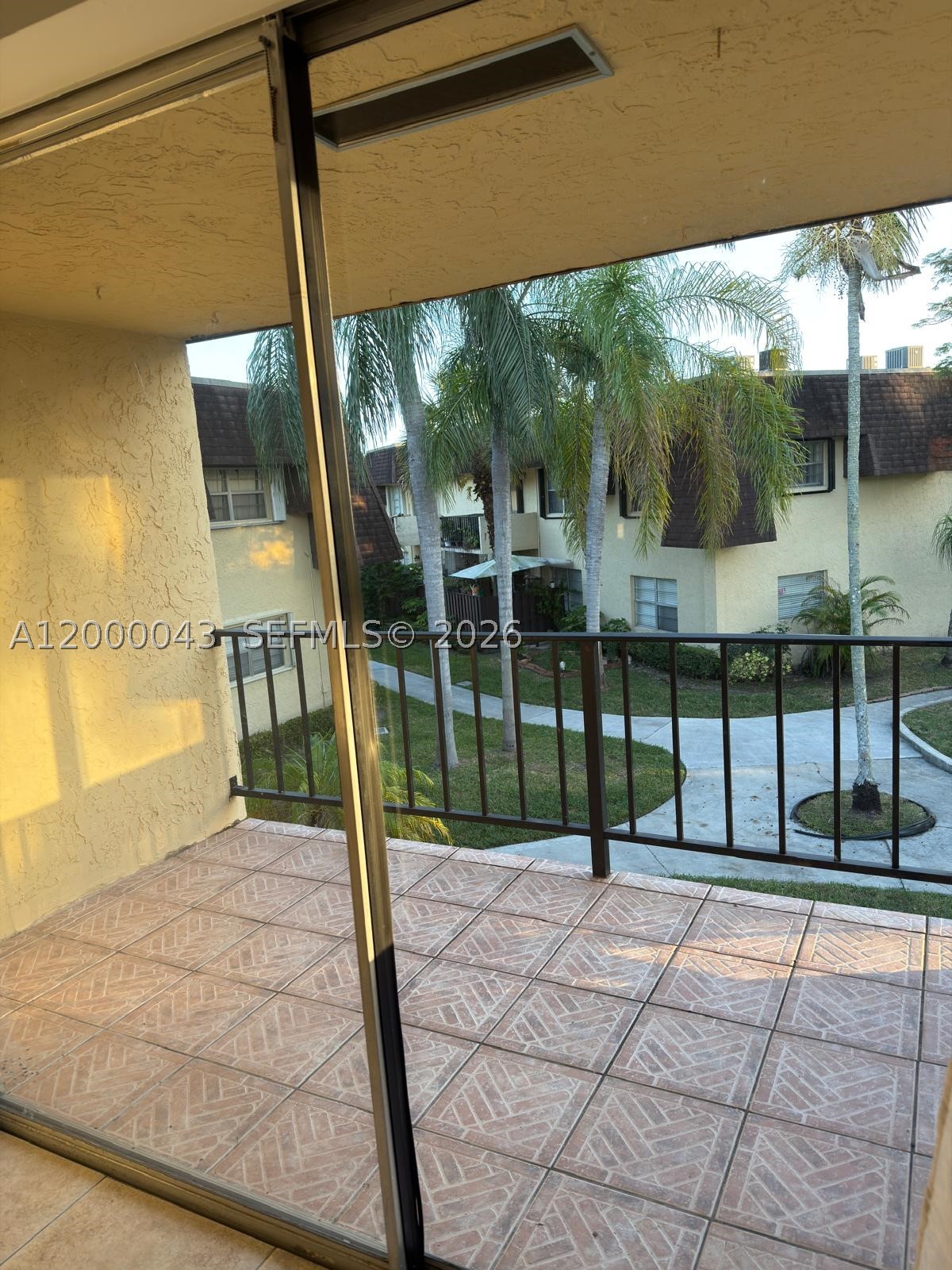 Miami photo 4