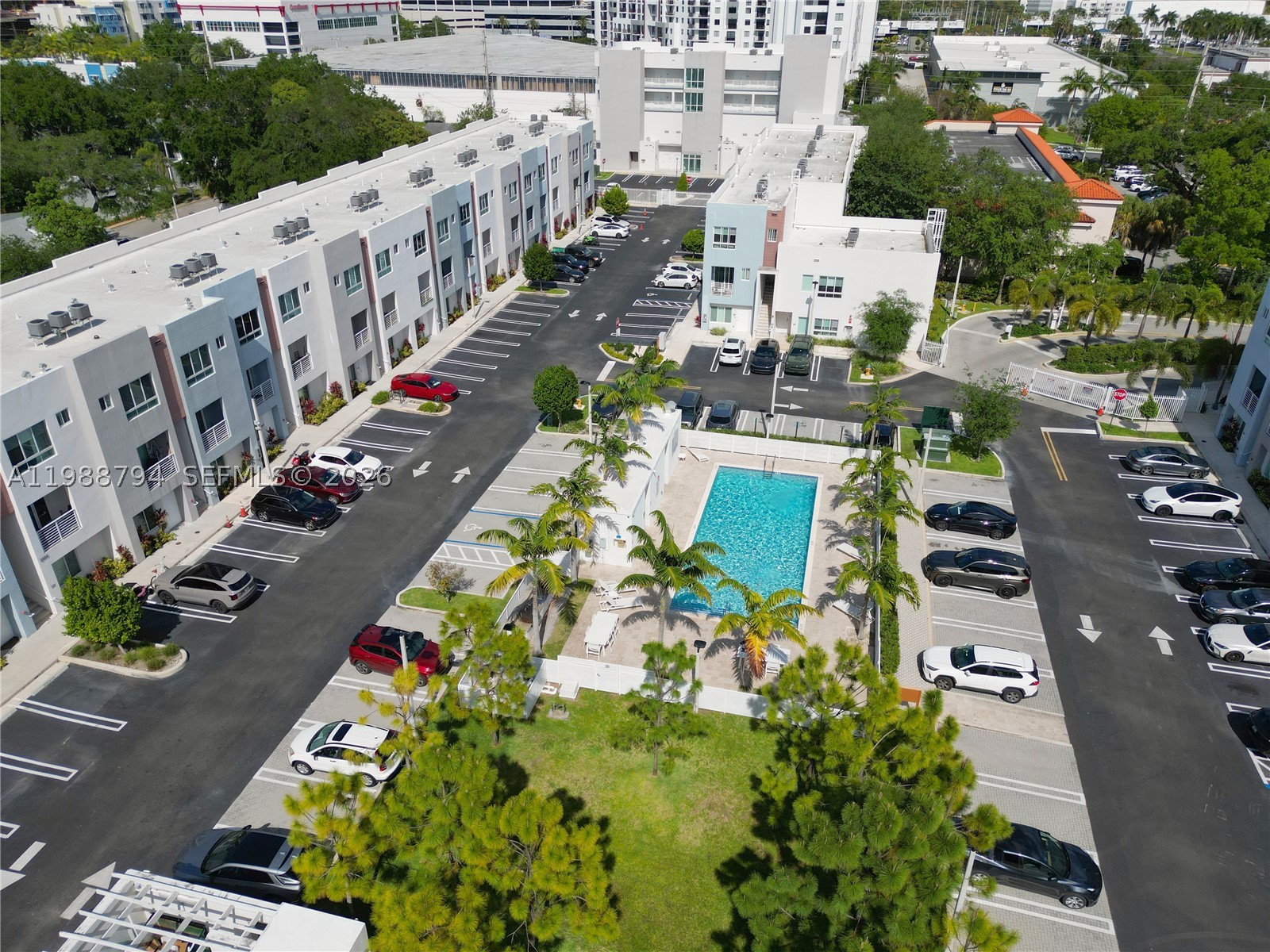 Miami photo 4