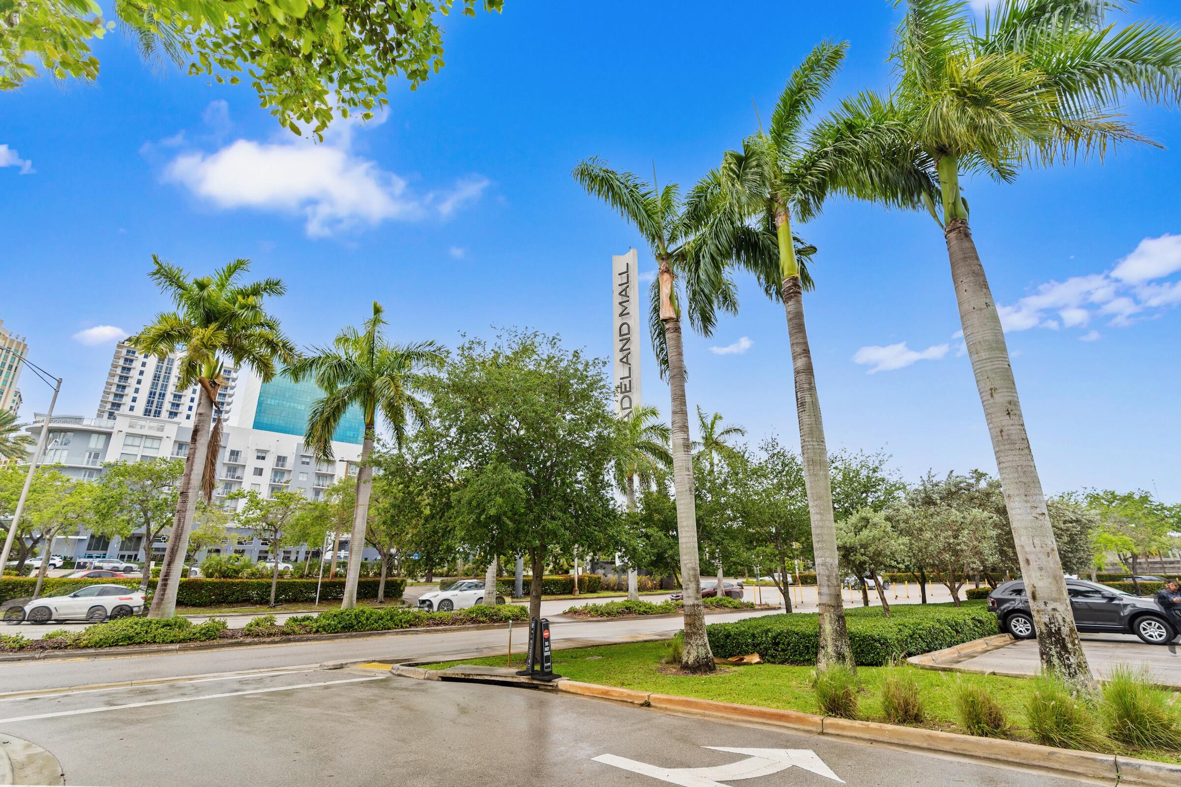 Miami photo 3