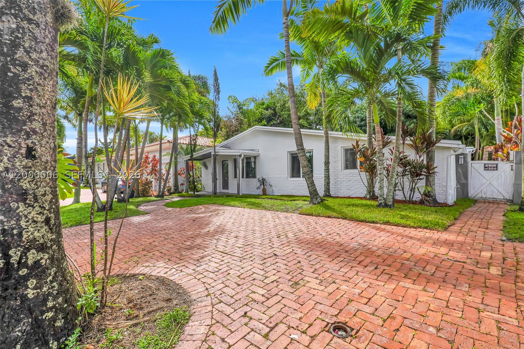Miami photo 5