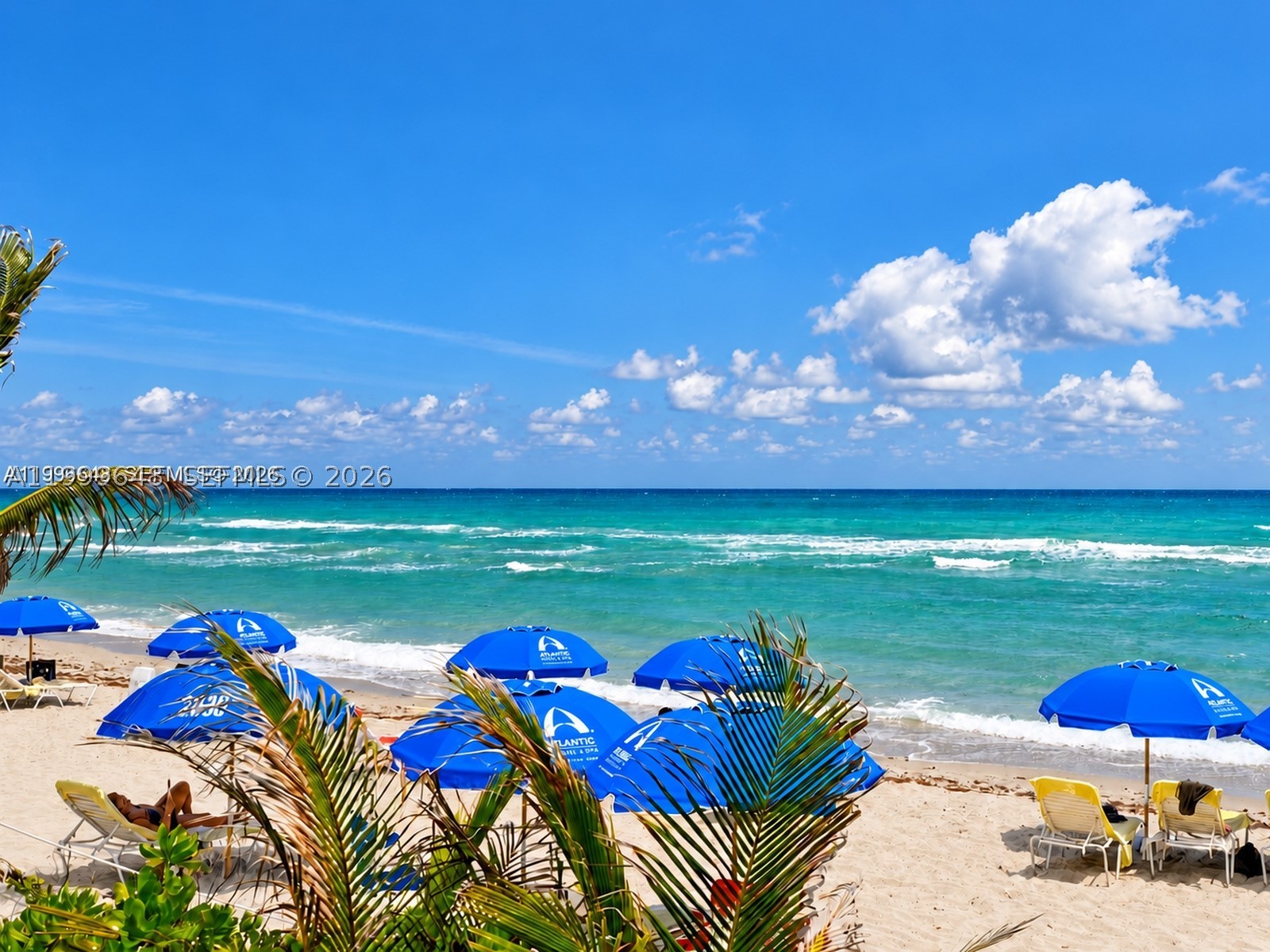 Hallandale Beach photo 3