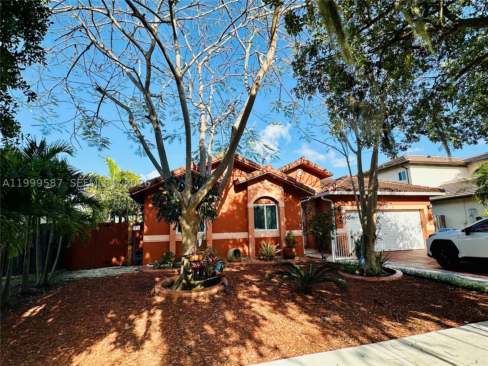 Miami photo 1