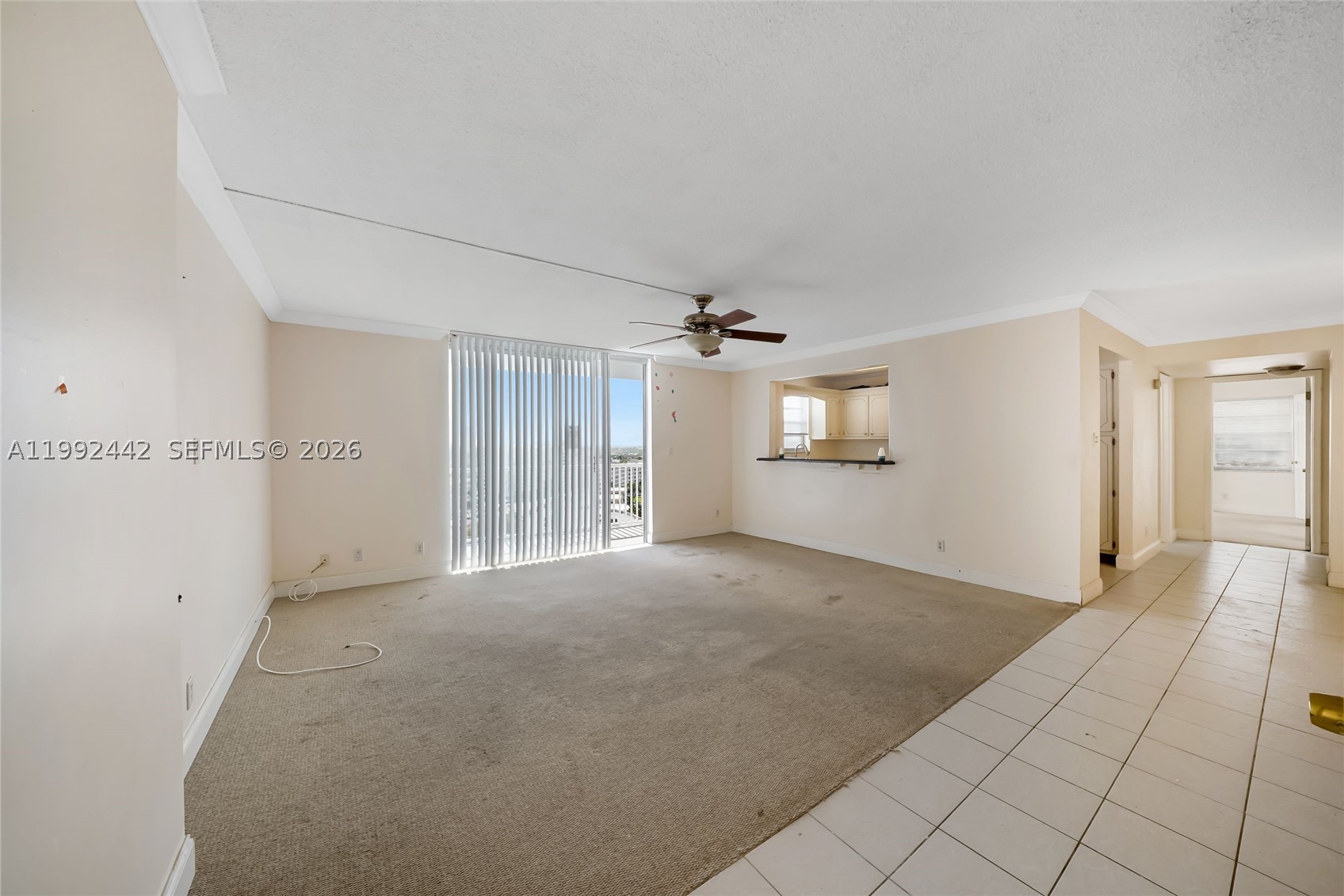 Hallandale Beach photo 5