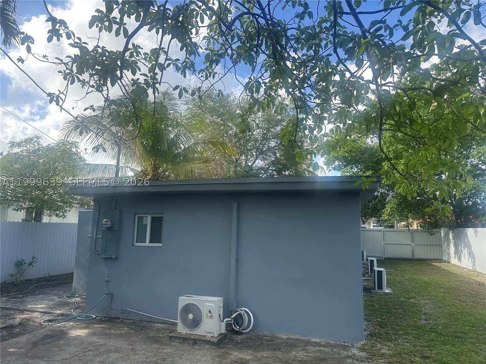 Miami photo 4