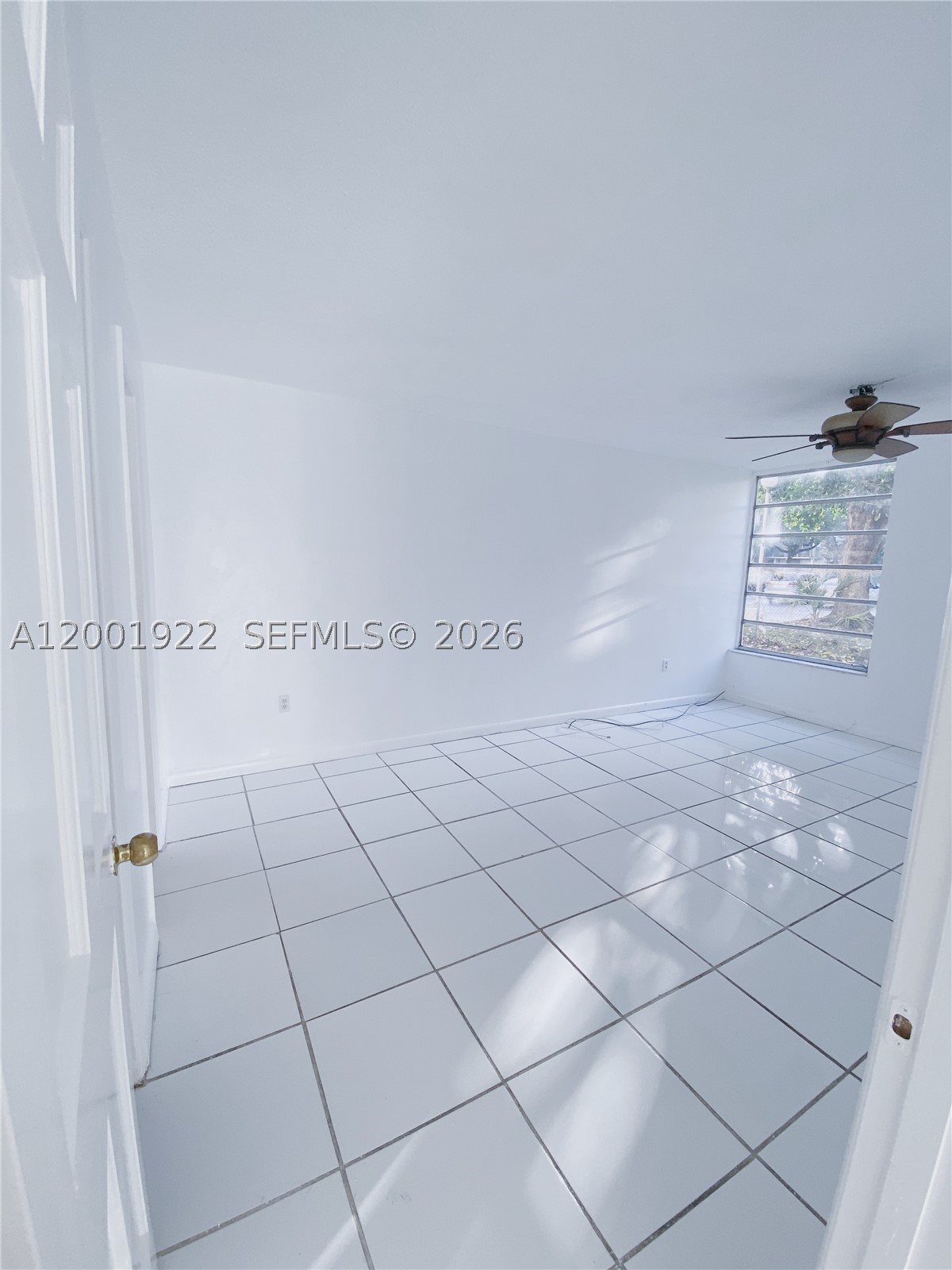 Miami photo 1