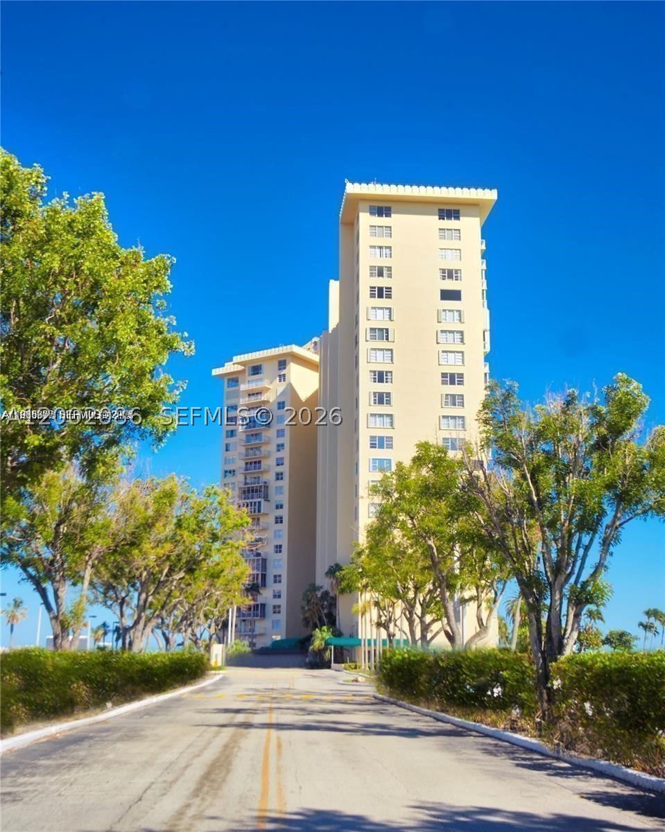 Miami photo 1