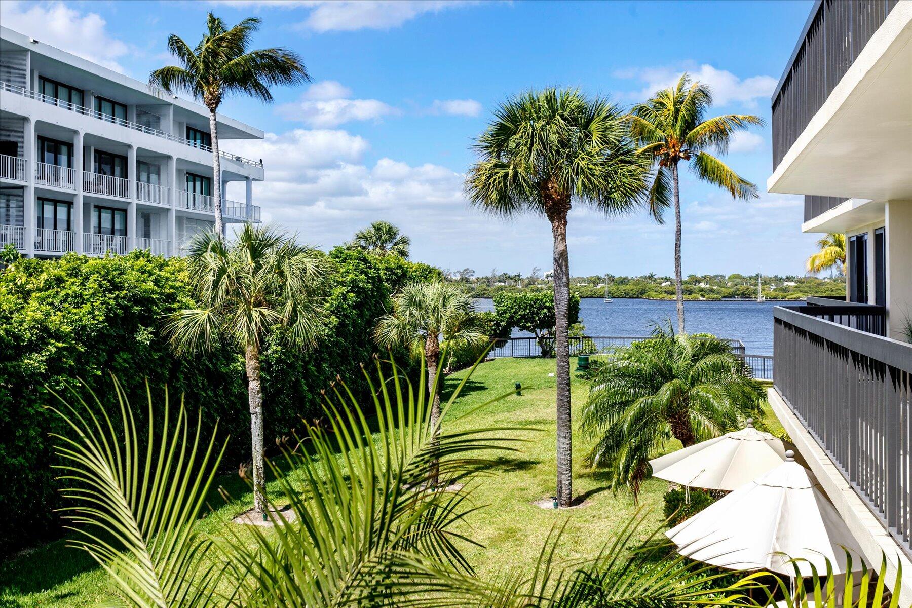 Palm Beach photo 3