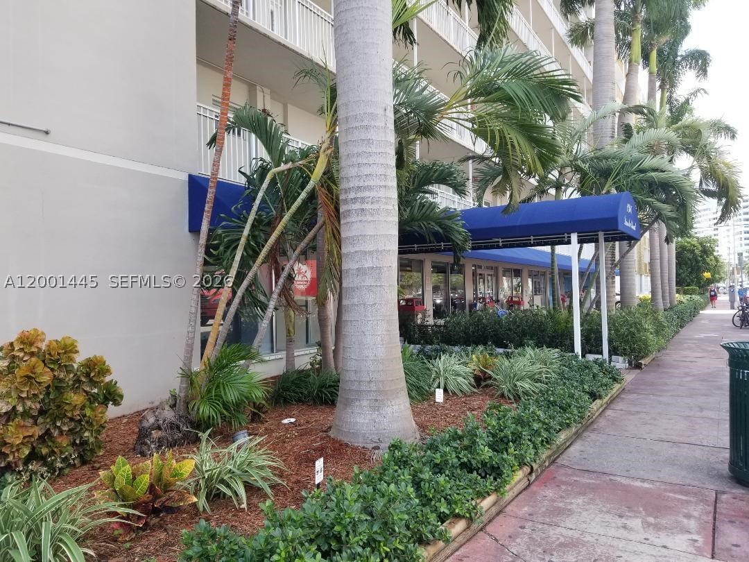 Miami Beach photo 3