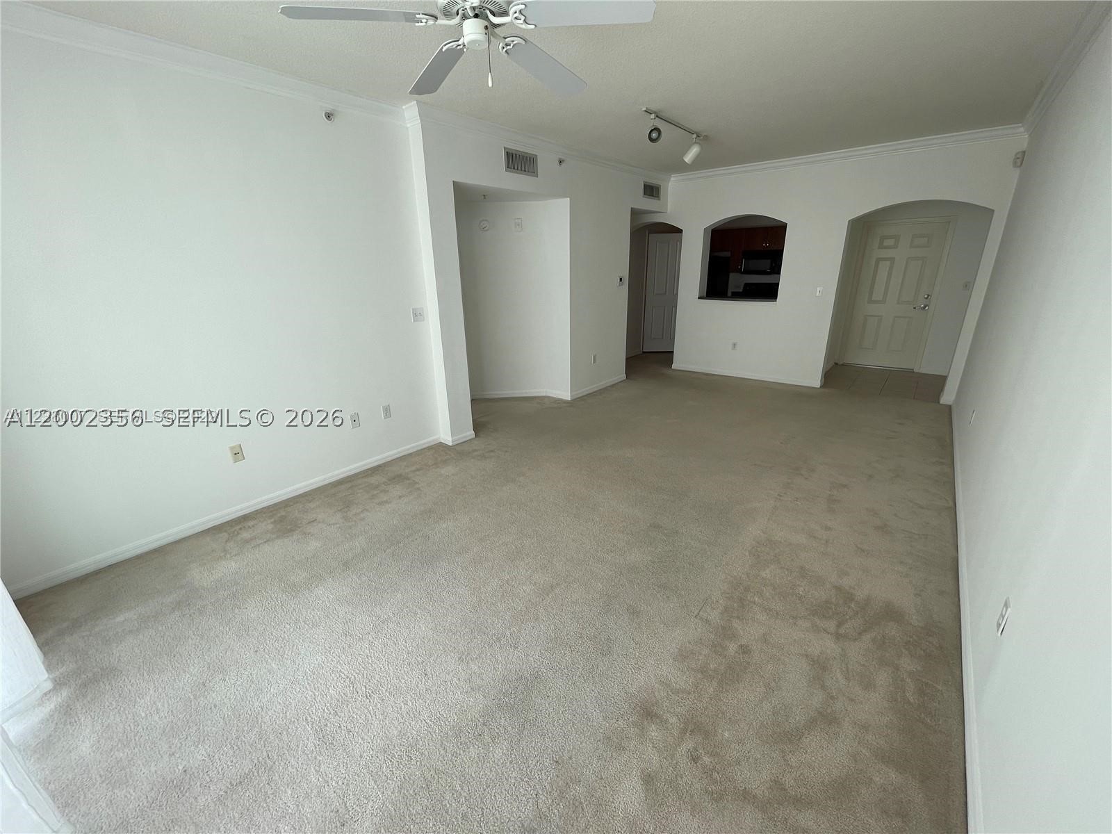 Surfside photo 1